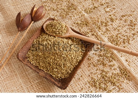 fennel seeds as natural ingredient