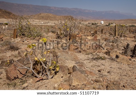 Arabic cemetery near tomb of prophet Bin Ali, Mirbat, Oman