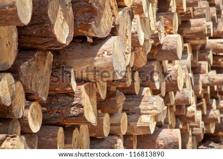 Huge pile of logs.