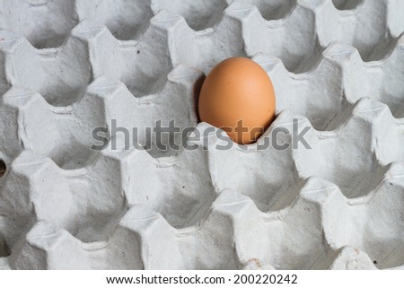 Close up of egg in carton box