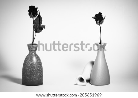 Black and white withered roses in vase