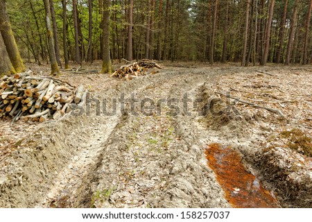 truck double wheel track in the mud