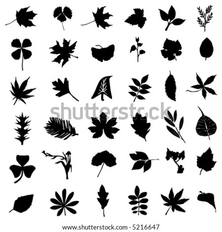 Collection Of Leaf And Flower Vector - 5216647 : Shutterstock