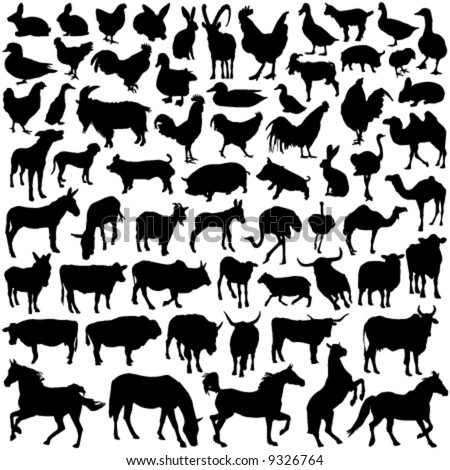 Farm Animals Vector