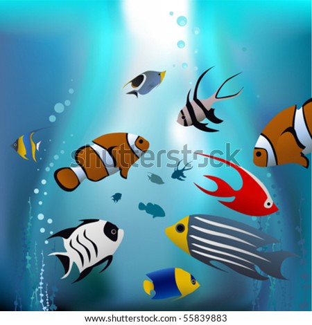fishes cartoon pictures. cartoon tropical fishes
