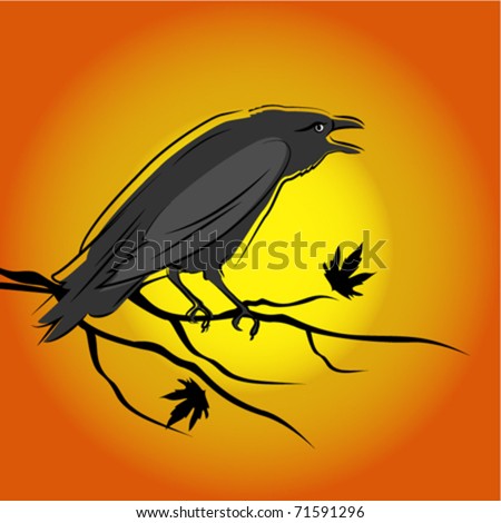crow stock