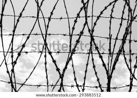 black and white barbed wire