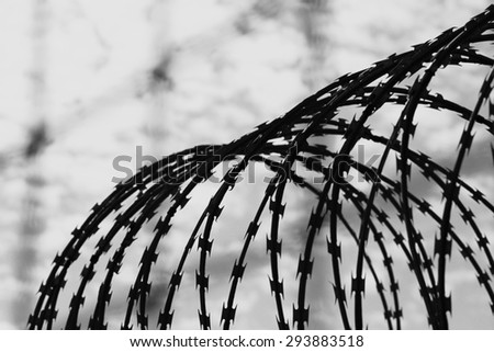 black and white barbed wire focus on center