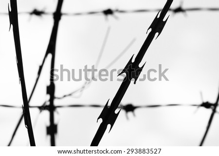black and white barbed wire focus on foreground
