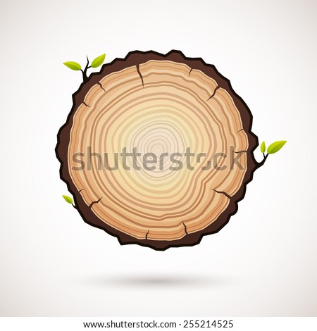 Tree growth rings logo icon, vector tree rings background and saw cut tree trunk. Logo template. Corporate icon. Brand visualization. Eco, bio, organic, natural concept