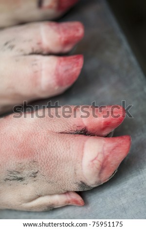 Pig\'s feet
