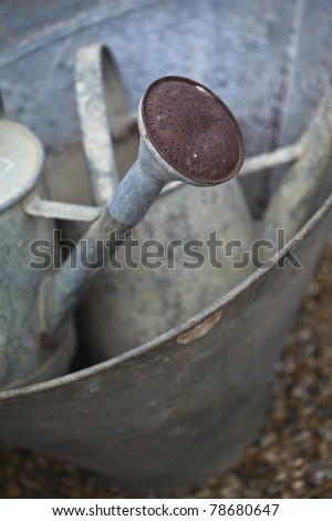 Old watering in a pan, in a flea market