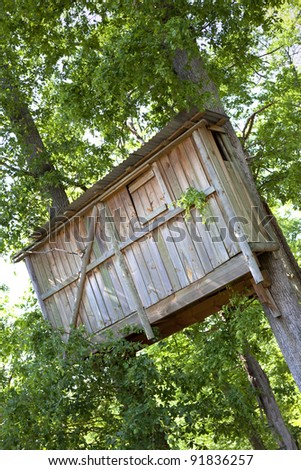 Wooden hut in a tree