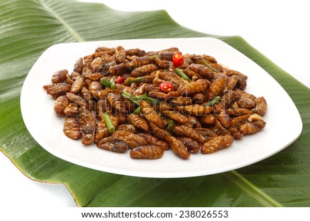 Fried edible larvae on white plate and green leaf