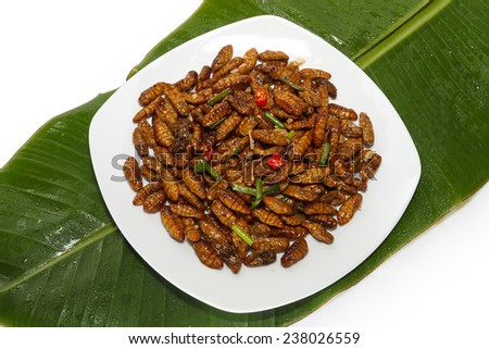 Fried edible larvae on white plate and green leaf