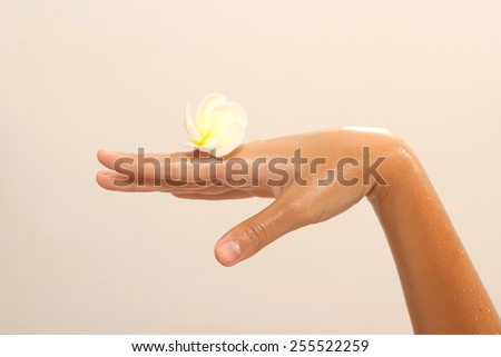 Golden tinted photo of female hand in oil holding magnolia flower on beige background view 7