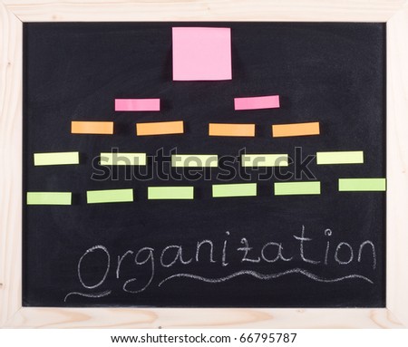 organization diagram