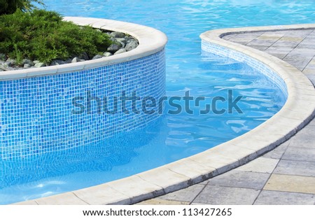 Swimming pool | Blue spa swimming pool with small pine tree inside