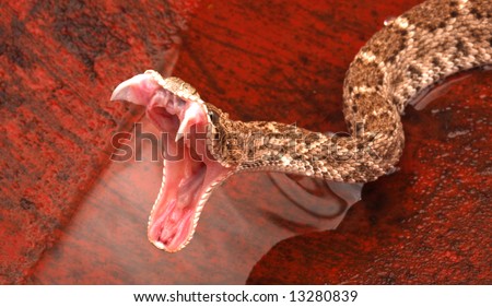 Striking Rattlesnake