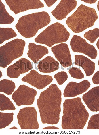 Animal skin texture for concept of nature