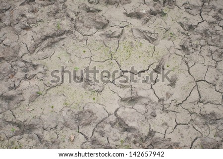 Wet grey mud texture background