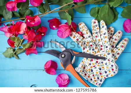 Trimmed branches and green leaves with gardening gloves and scissors on blue table