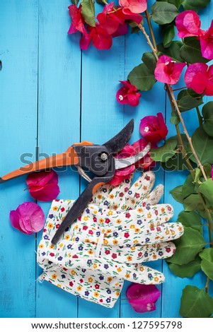 Trimmed branches and green leaves with gardening gloves and scissors on blue table