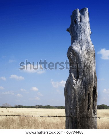 Rural Texas landscape with blue sky, wheat field, barbwire and gray post oak