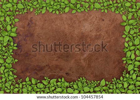 Green plant frame with old paper background