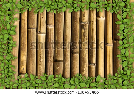 bamboo background with green plant frame