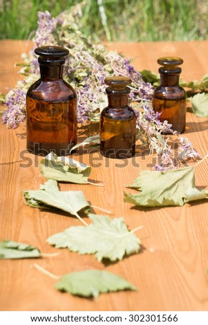 essential oil in little bottle and medical flowers herbs on wooden board