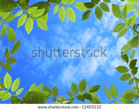 Cloudy sky background with green plant frame
