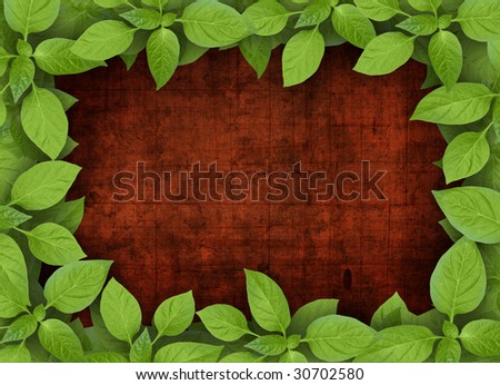 Old wooden background with green plant frame