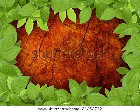 Old wooden background with green plant frame