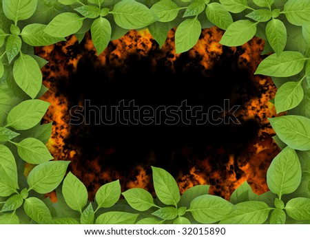 Green plant frame on fire