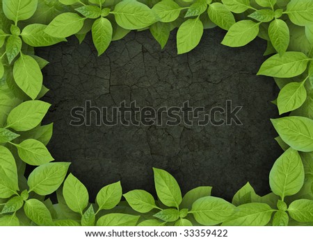 concrete wall with green plant frame