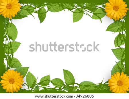 Green plant frame with flowers