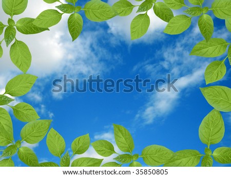 cloudy sky with green plant frame