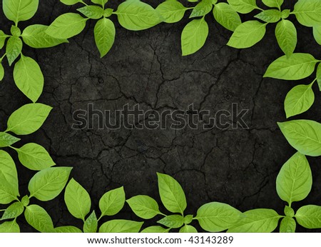 cracked soil with green plant frame