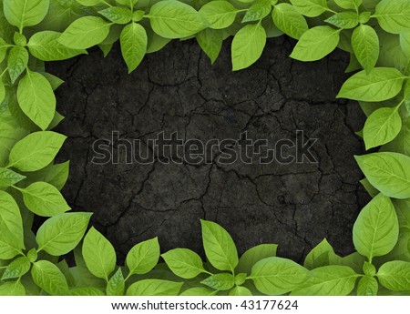 cracked soil with green plant frame