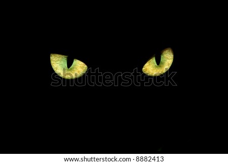 cat eyes in the dark. stock photo : cat eyes in dark