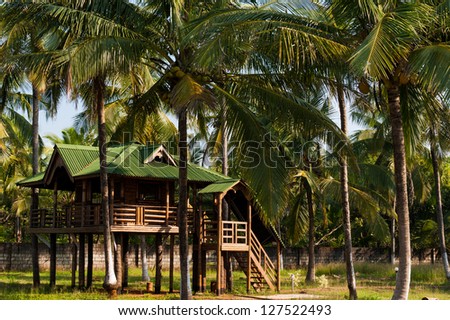 Hut in the middle of lush green palm trees in India
