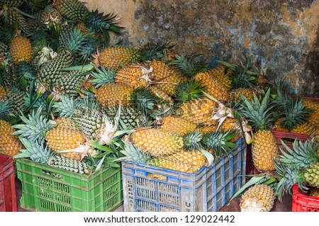 Pinapple fruits In an unusual storage space In India.