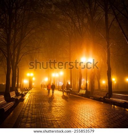 people in city park at night
