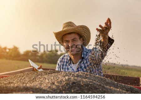 Satisfied handsome farmer with straw hat holding tablet and throwing sunflower seed in air from trailer full of grains during harvest