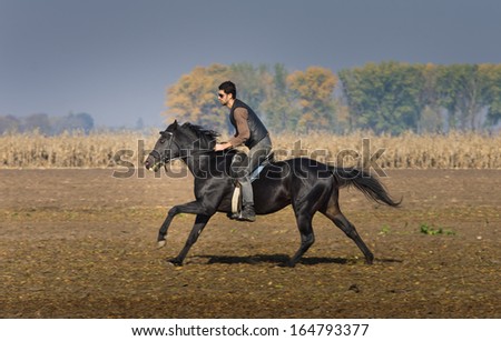 Man riding black horse on field