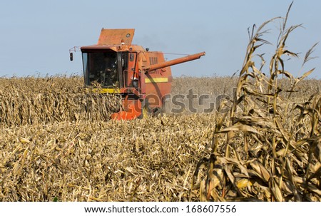 Combine harvester harvesting corn in field