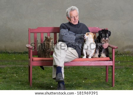 Senior man with dogs and cat on bench