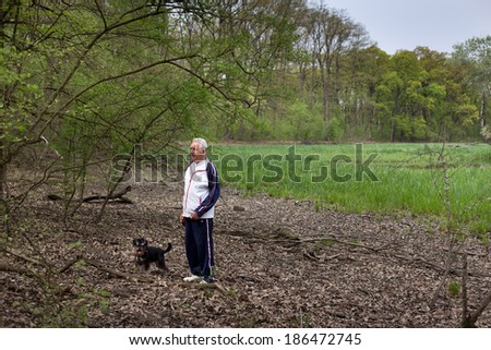 Old man walking miniature schnauzer on leash on meadow