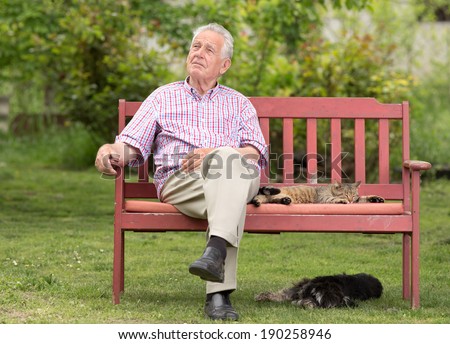 Old man sitting on bench with his pets and looking in sky